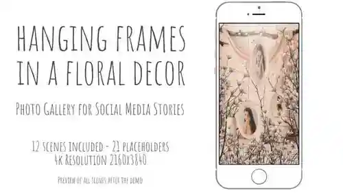 在花卉装饰中悬挂框架AE视频