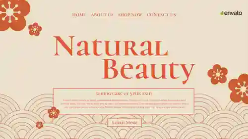 广告和美容师包装网页动画AE视频