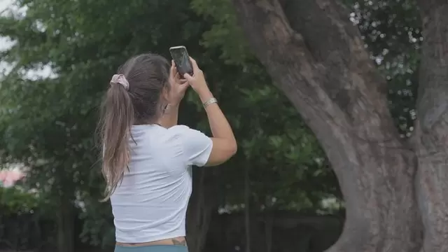 在公园里为一棵树拍照视频素材插图