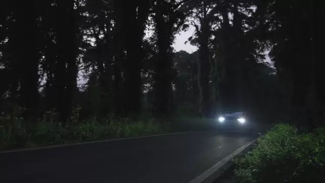 在黑暗树林中行驶的电动汽车视频素材插图