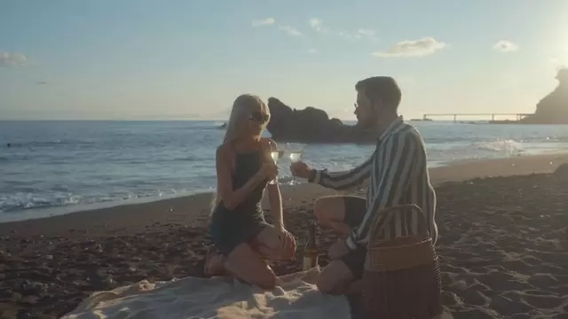 一对相爱的夫妇在海滩上碰杯酒杯视频素材插图