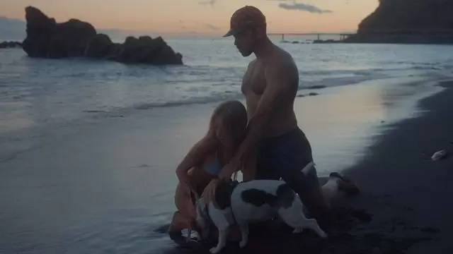 一对夫妇在海滩上抚摸他们的狗视频素材插图