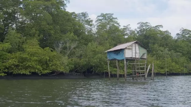 河上的小屋木质房子视频素材插图