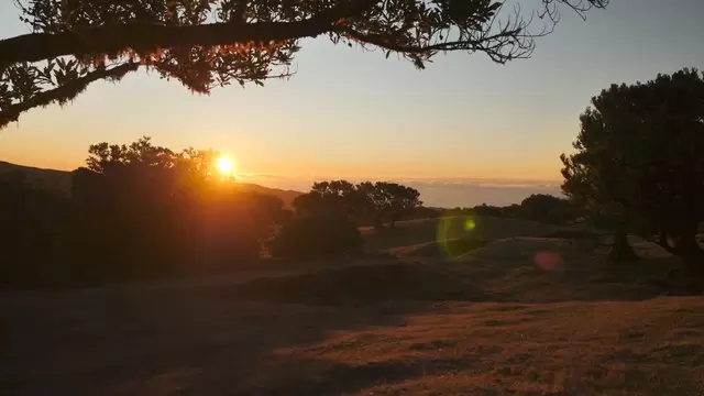 日落时的林间空地视频素材插图