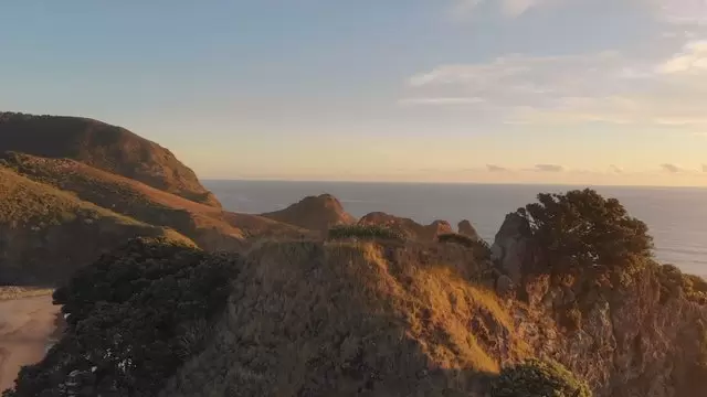 皮哈海洋景观新西兰风景航拍视频素材插图