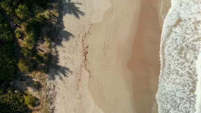 沙子上的脚印航拍视频素材插图