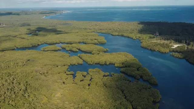 绿色岛屿平静的湿地航拍视频素材插图