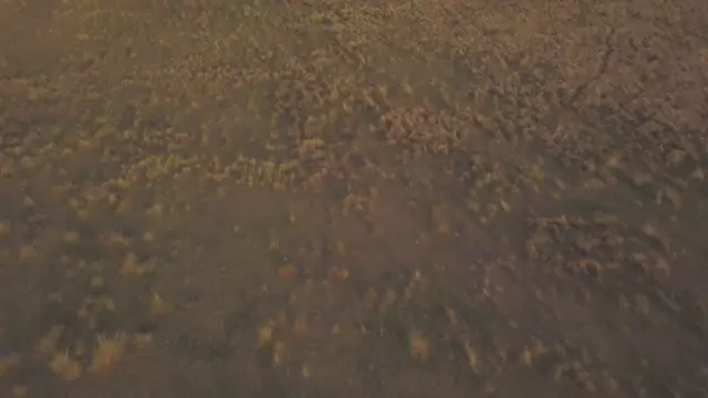 阿根廷火地岛有黄草的山谷航拍视频素材