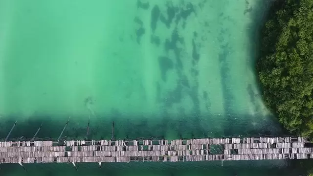 海洋上的木质桥梁绿色水面航拍视频素材插图