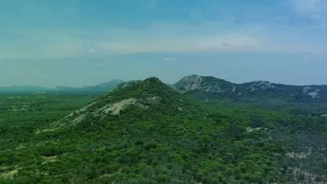 一座绿色的山航拍视频素材插图