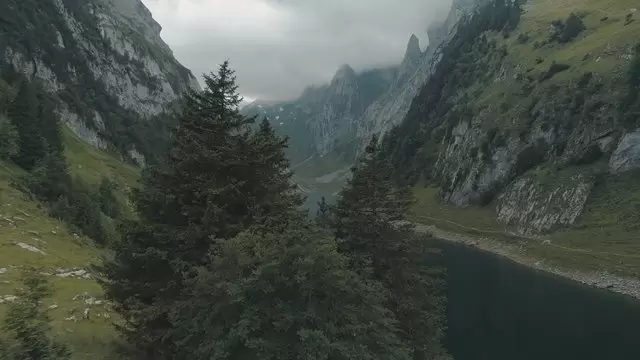 雾中的山脉绿色森林航拍峡谷视频素材插图