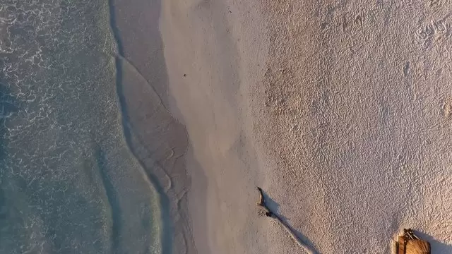 在岸上的沙滩边慢跑航拍视频素材插图