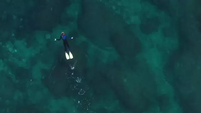 在海洋中浮潜游泳的人航拍视频素材插图