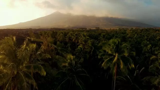 森林之外的火山航拍视频素材插图