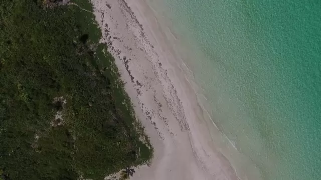 在海岸上空俯拍海岸线航拍视频素材插图