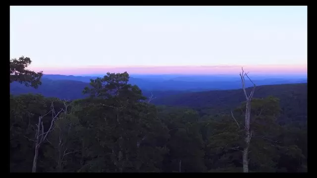 清晨无人机进入荒野航拍视频素材插图