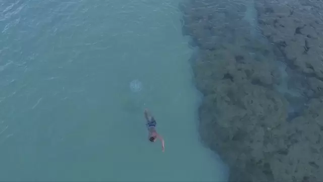 男子在珊瑚礁附近游泳航拍视频素材