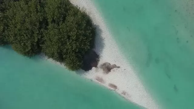 海洋中央的土地航拍岛屿视频素材插图
