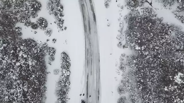 阿根廷火地岛的白雪覆盖的森林航拍视频素材