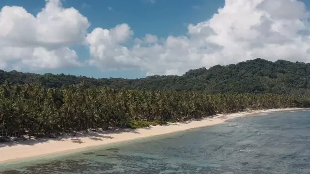 棕榈树海滩航拍视频素材插图