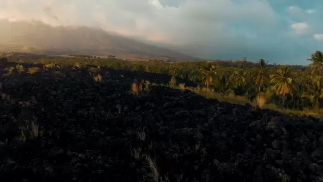 火山和棕榈树航拍视频素材插图