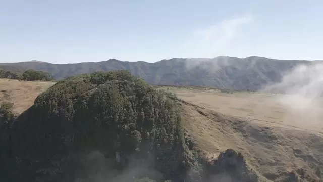 法纳尔马德拉岛的林间空地航拍视频素材