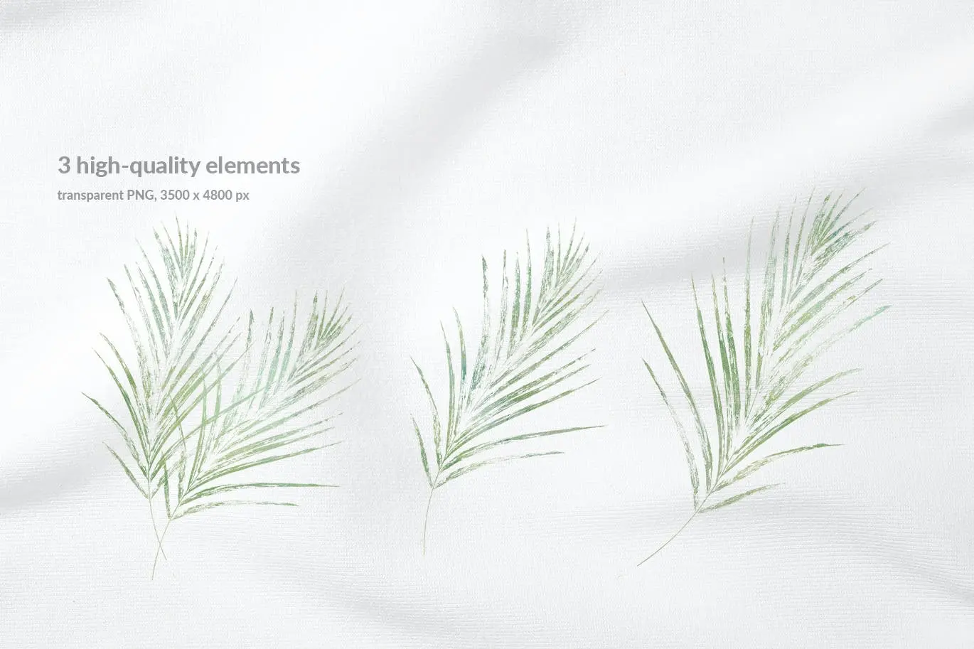 优雅时尚高端清新多用途的棕榈树背景底纹纹理集合插图4