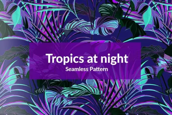 热带雨林的夜景背景免费下载