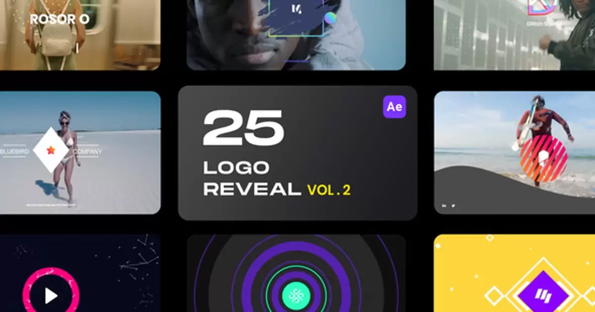25徽标logo显示捆绑包AE视频模版25 Logo Reveal Bundle – Vol 2插图