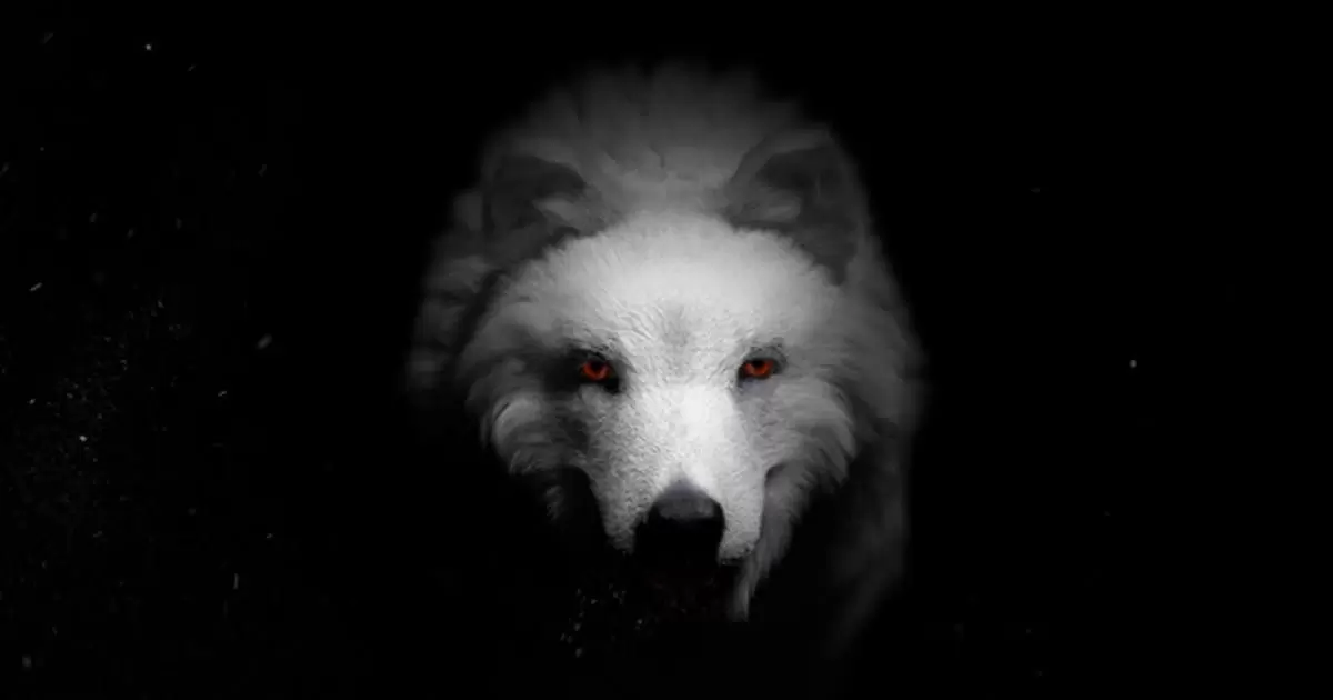 狼与龙恐怖动物片头logo标志AE视频模版Wolf & Dragon插图