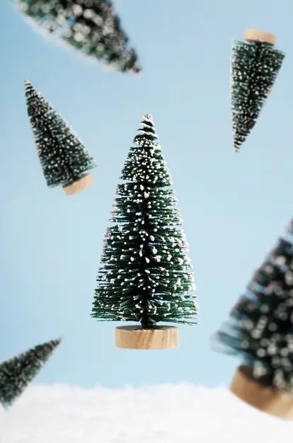 圣诞树装饰的正面视图[JPG]插图