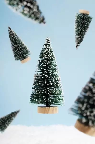 圣诞树装饰的正面视图[JPG]免费下载