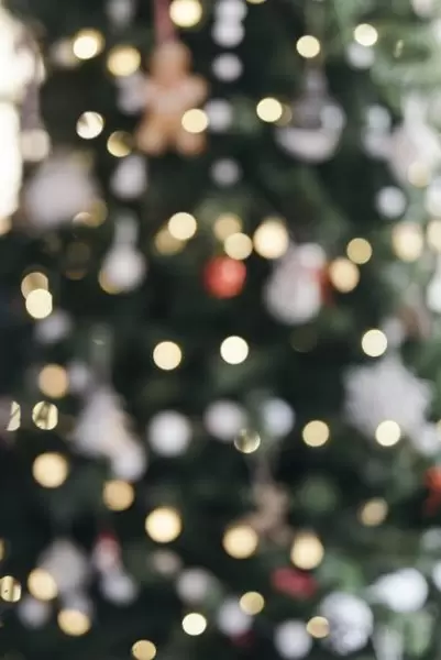 灯光模糊的圣诞树背景[JPG]免费下载