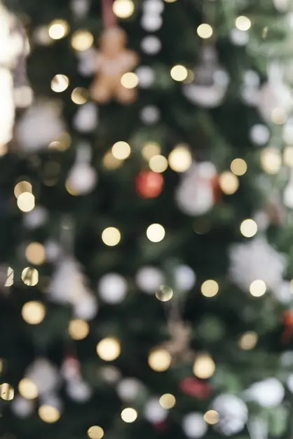 灯光模糊的圣诞树背景[JPG]插图