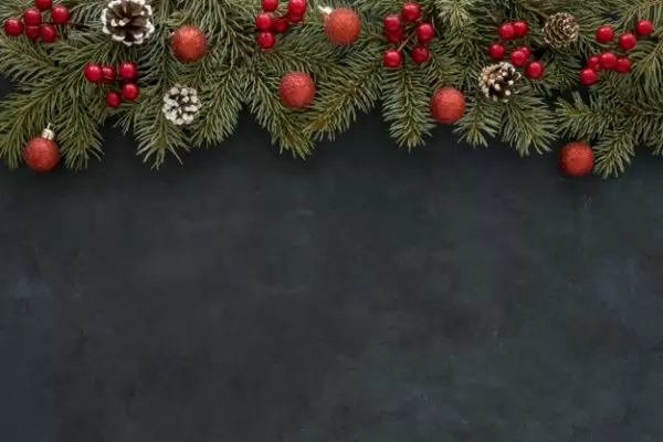 天然的松针和圣诞球装饰背景[JPG]免费下载