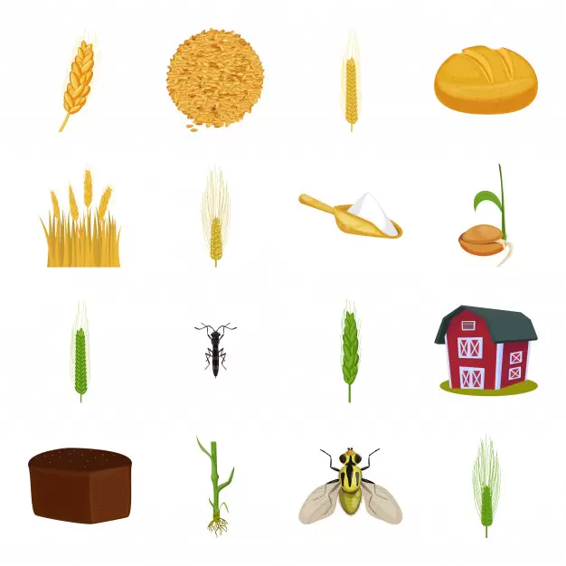 卡通小麦面粉矢量图标插图