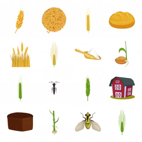 卡通小麦面粉矢量图标免费下载