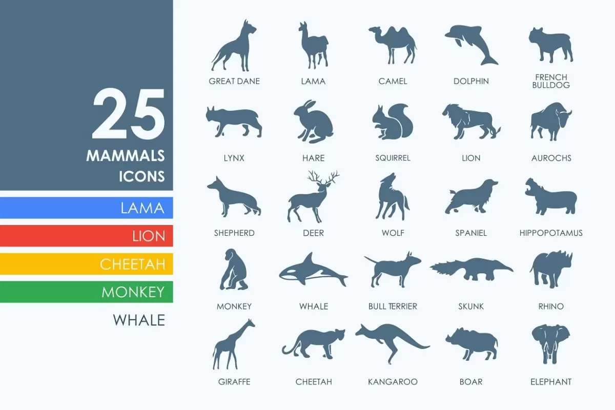 哺乳动物图标素材 25 mammals icons免费下载