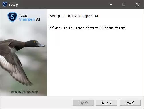 Topaz Sharpen AI v4.1.0 (人工智能照片变清晰锐化软件)直装版插图2