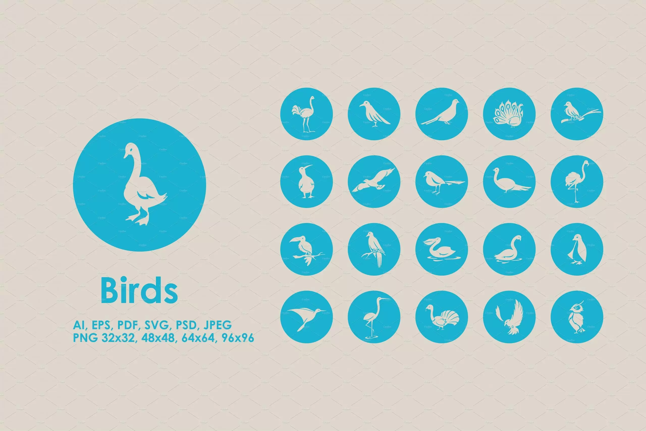 鸟类图标素材 Birds icons插图
