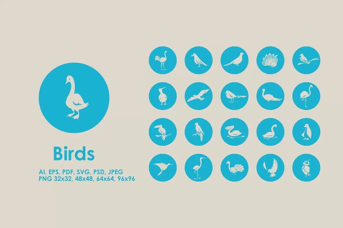 鸟类图标素材 Birds icons免费下载