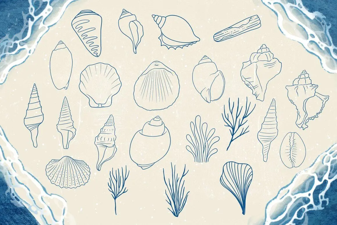 贝壳&海洋元素Procreate图案笔刷套装 (brushset)插图6