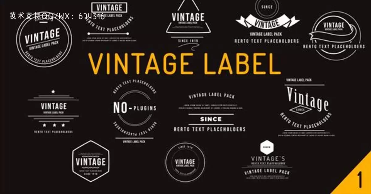 复古标签文字动画AE视频模版Vintage Label Pack插图