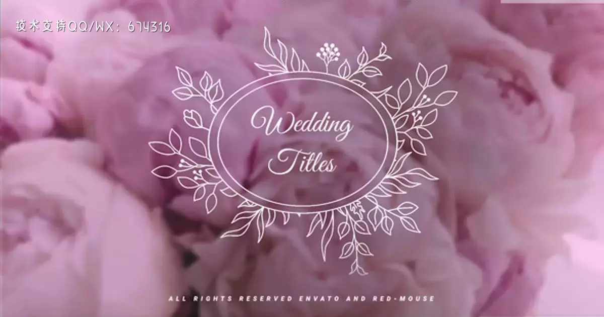 婚礼头衔花纹文字动画AE视频模版Wedding Titles插图