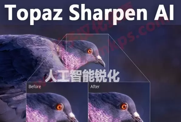 Topaz Sharpen AI v4.1.0 (人工智能照片变清晰锐化软件)直装版插图