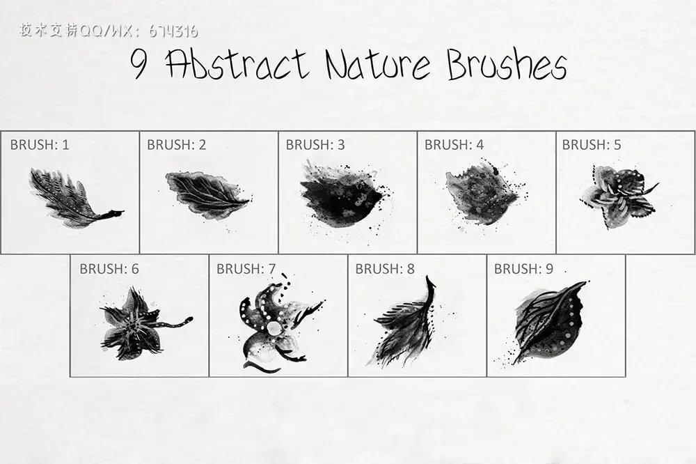 9个抽象自然叶子ps笔刷素材 (abr)插图2