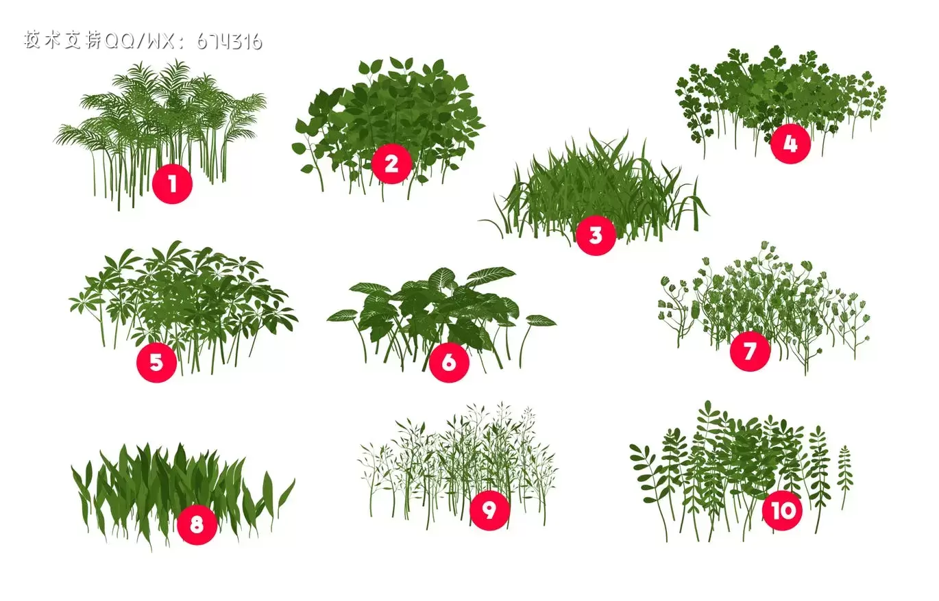 Procreate植物叶子笔刷大集合插图2