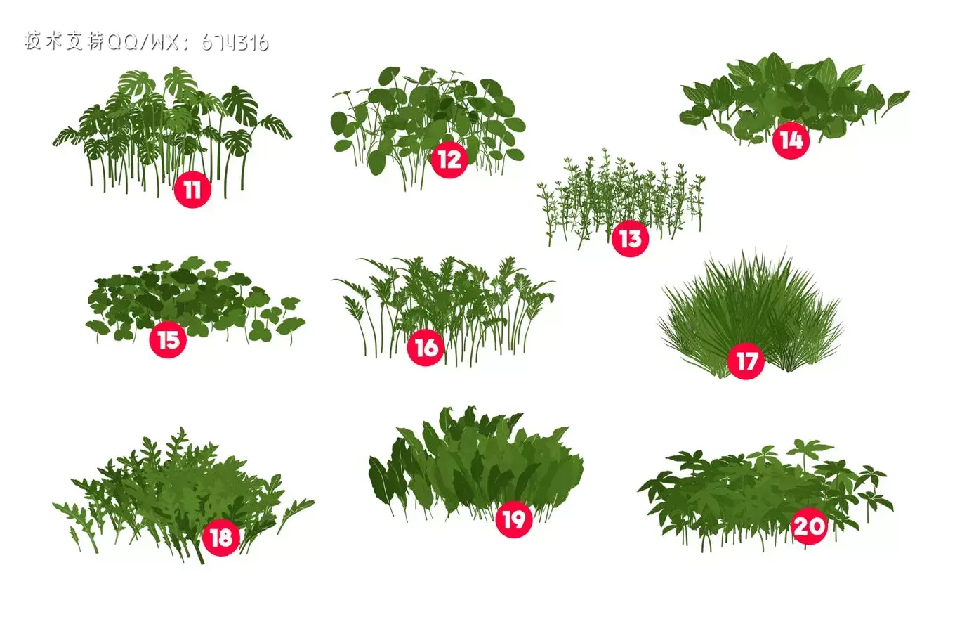 Procreate植物叶子笔刷大集合插图3