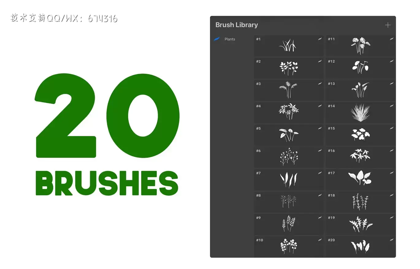 Procreate植物叶子笔刷大集合插图1