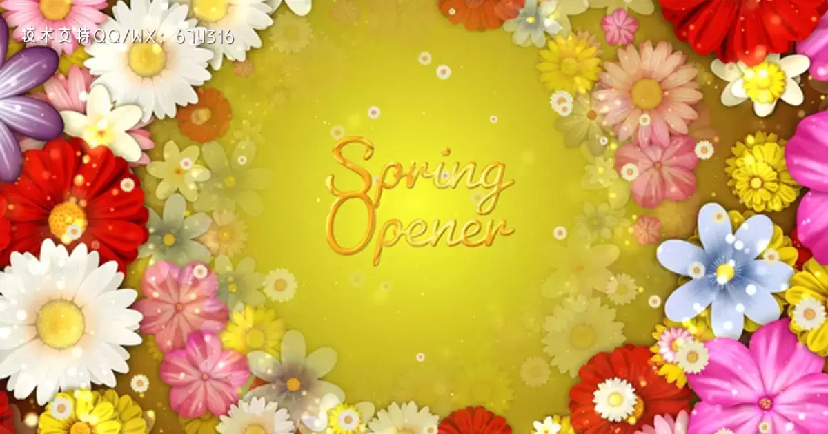 春天的花朵文字标题AE视频模版Spring Flowers Titles